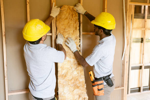 Best Attic Insulation Installation  in Rosemount, MN