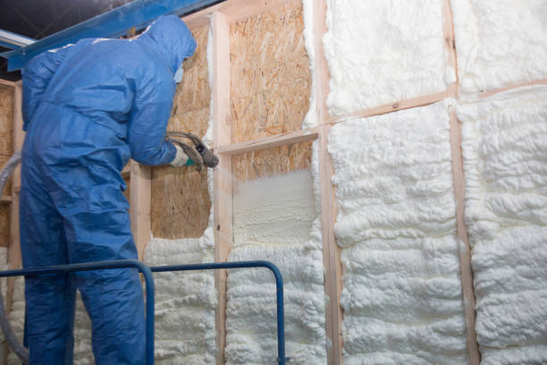 Best Thermal Imaging for Insulation Gaps  in Rosemount, MN